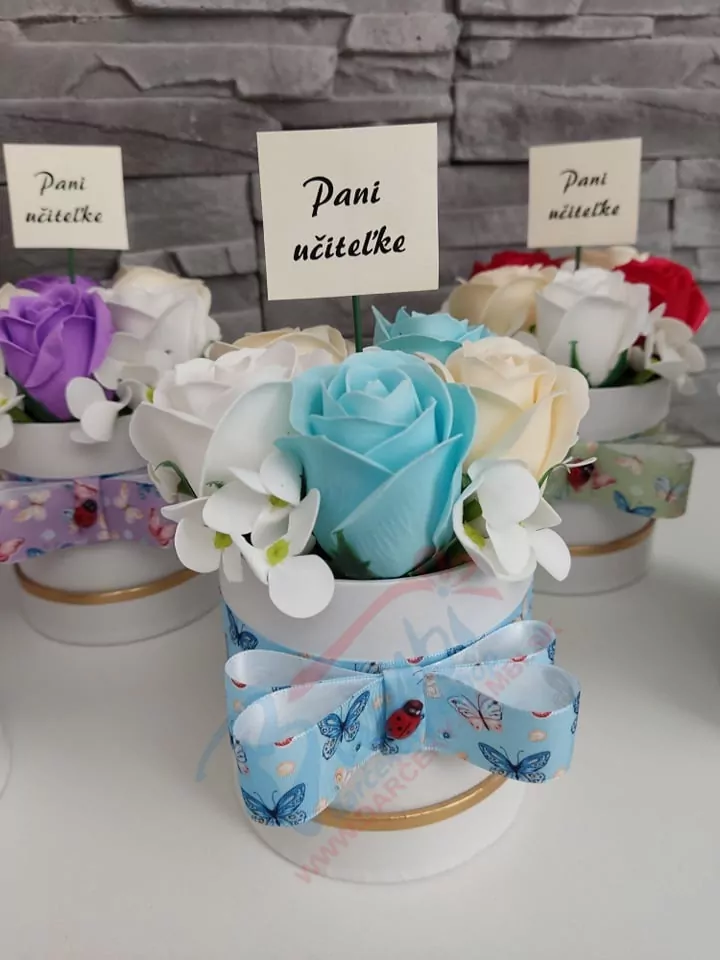 Mydlový box- Pani riaditeľke