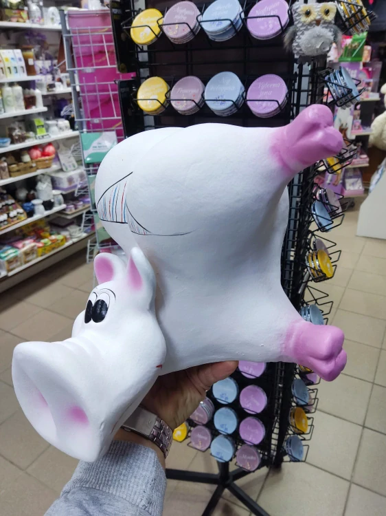 Pokladnička prasa v tangách