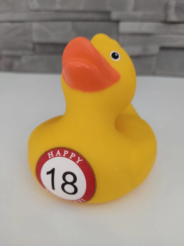 Kačička s číslom