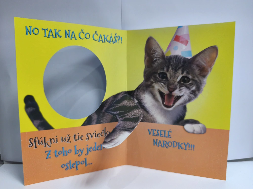 Blahoželanie k narodeninám mačka