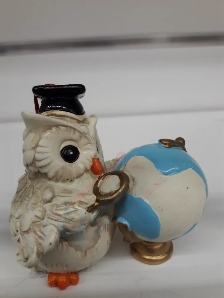 Sovička absolvent s glóbusom