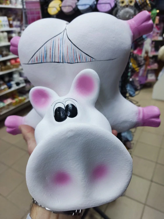 Pokladnička prasa v tangách