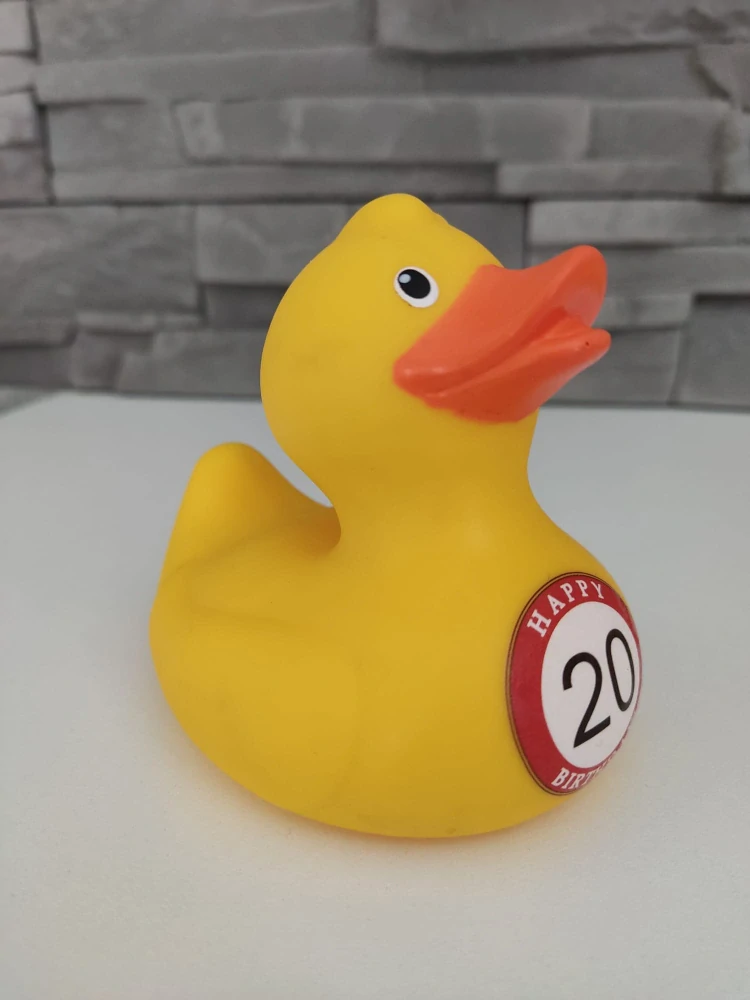 Kačička s číslom