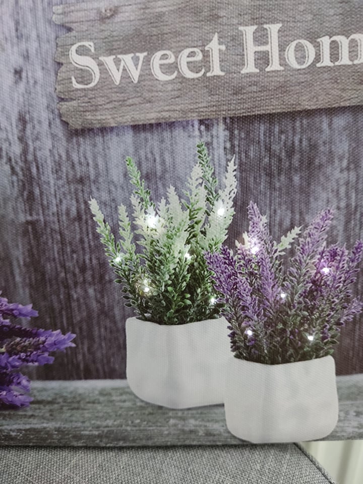 LED obraz - LEVANDUĽA