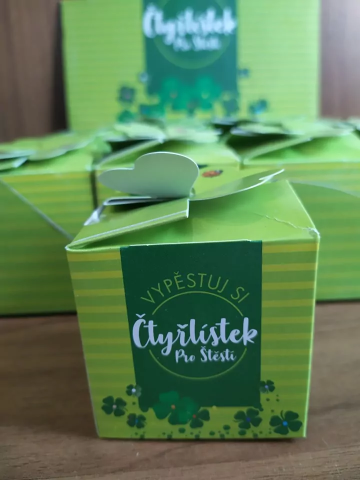 Vypestuj si štvorlístok
