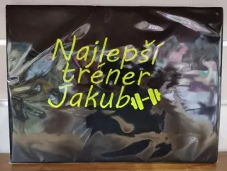 Vyšívané tričko - NAJLEPŠÍ TRÉNER JAKUB