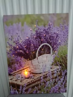 LED obraz - LEVANDUĽA 1