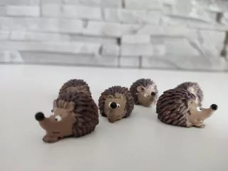 Mini ježko