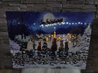 LED obraz: Čarovná obloha: 45LED svetielok