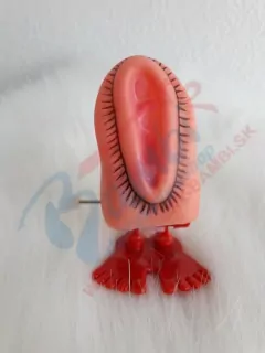 Skákajúca pipina