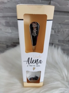 Lyžička Alena