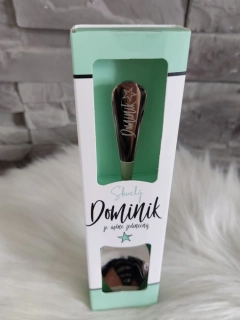 Lyžička Dominik