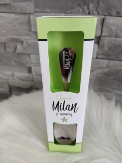 Lyžička Milan