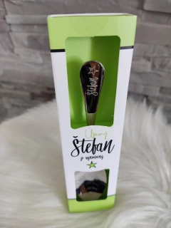 Lyžička Štefan