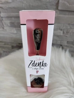 Lyžička Zdenka