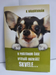 Blahoželanie k narodeninám čivava