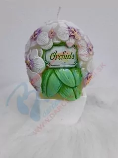 Sviečka orchidea