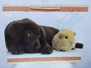 Darčeková taška so psíkom a mačičkou