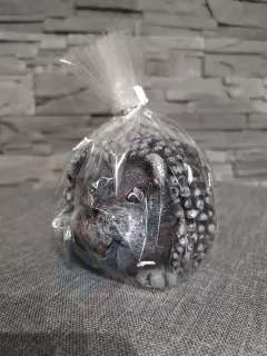 Sviečka Ježko