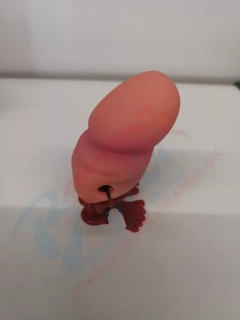 Skákajúci penis
