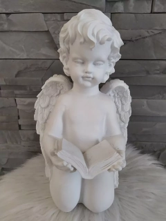 xAnjel s knížkou